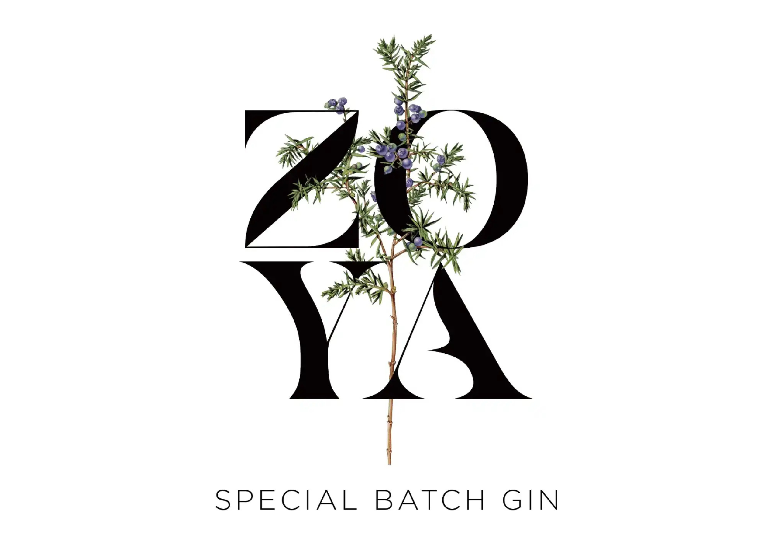 Zoya-Client-Logo
